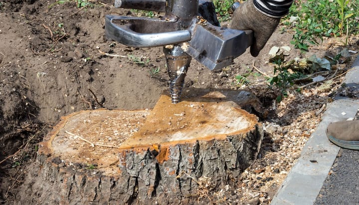 Tree Stump Removal Specialists in Bethlehem, Pennsylvania